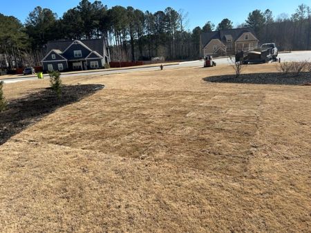 Newnan Homeowner’s Guide to Sod vs. Seed for a Thicker Lawn Thumbnail