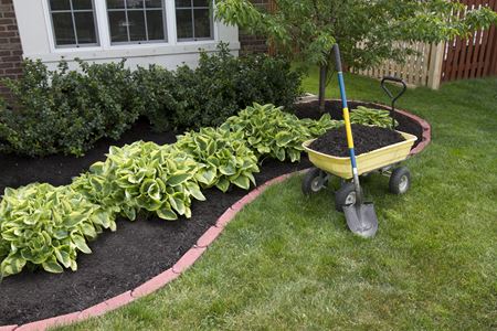 Benefits of Mulching