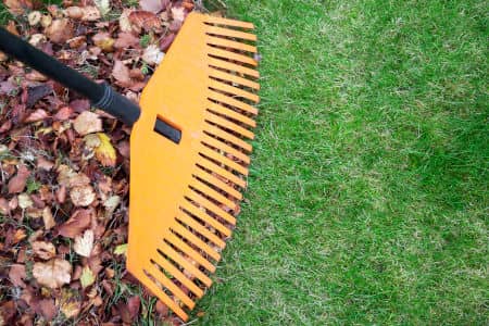 Prepare Your Yard for Every Season With Seasonal Cleanups