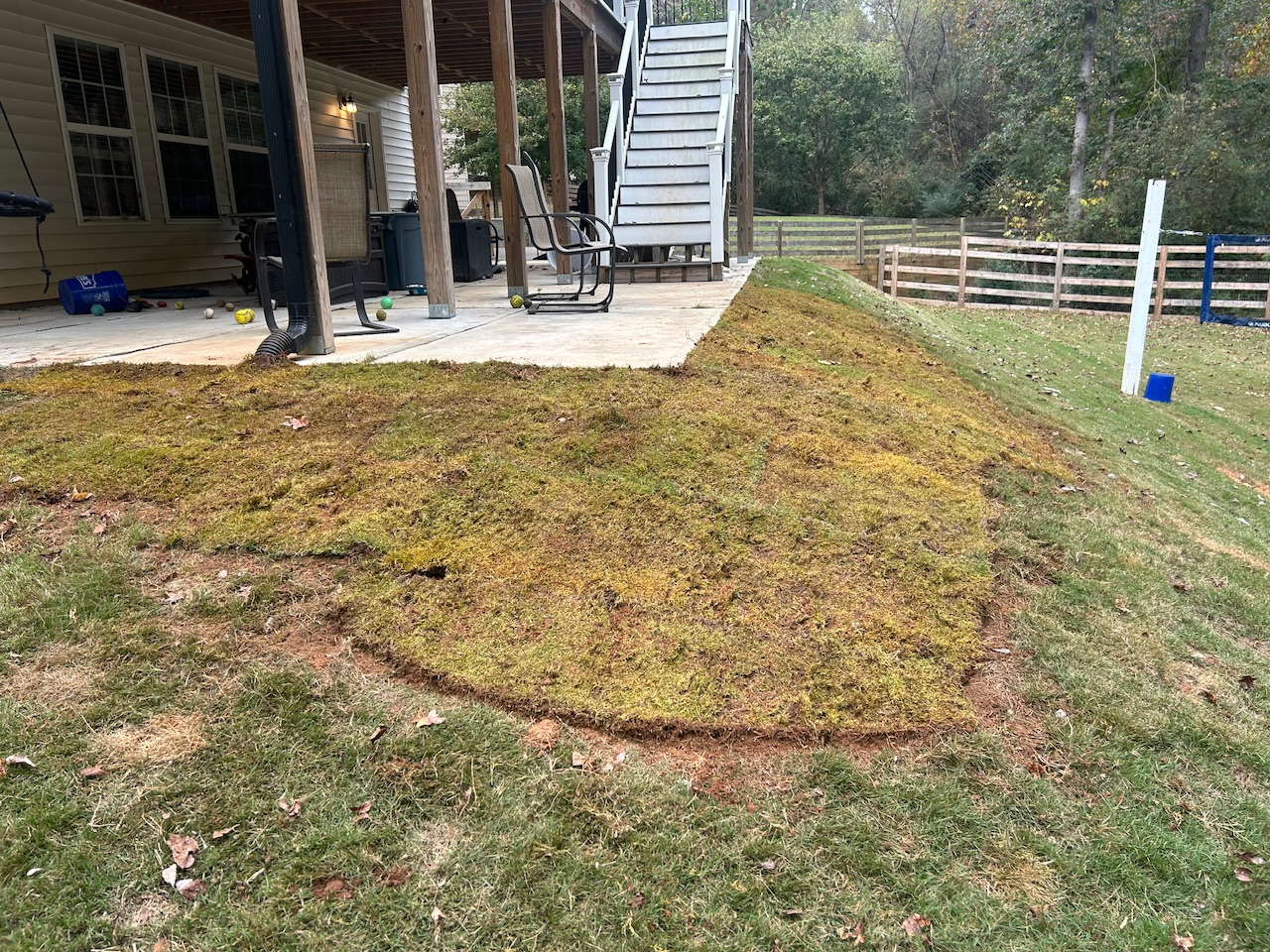 Sodding bare areas before winter 