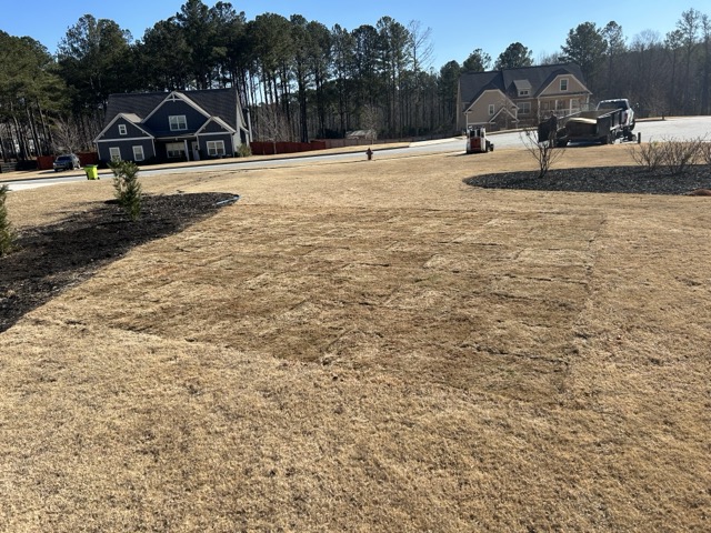 Top Quality Sod Installation in Sharpsburg, GA 