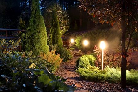 Landscaping Lighting